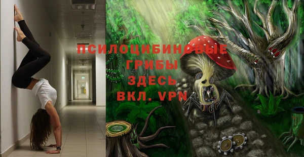 стаф Баксан